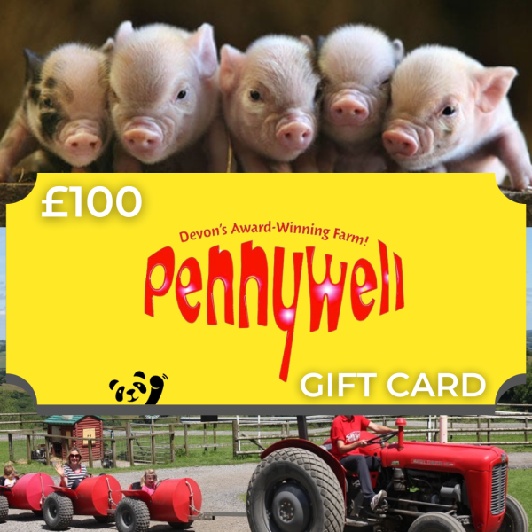 🐷£100 Pennywell Farm Voucher